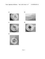 US20240162532A1-patent-drawing