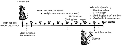 US2024207293A1-patent-drawing