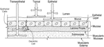 US2025195855A1-patent-drawing