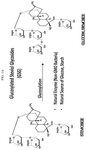 US2025228275A1-patent-drawing