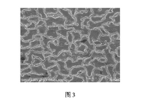 WO2020019392A1-patent-drawing