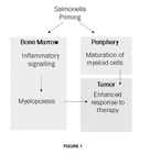 WO2023105076A1-patent-drawing