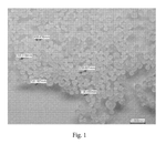 WO2023230216A1-patent-drawing