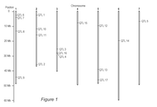 WO2023242831A1-patent-drawing