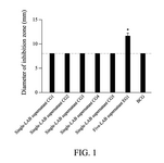 WO2024065274A1-patent-drawing