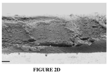 WO2024147137A1-patent-drawing
