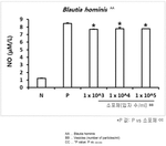 WO2025033635A1-patent-drawing