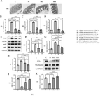 WO2025102571A1-patent-drawing