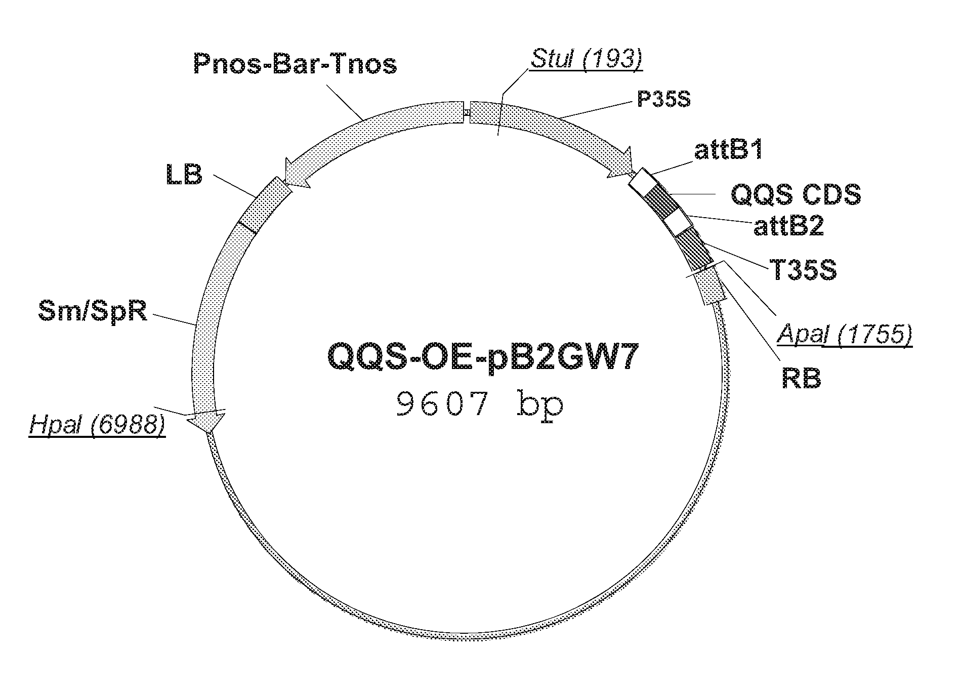 important-plant-protein-patents-summary plant-protein-patents